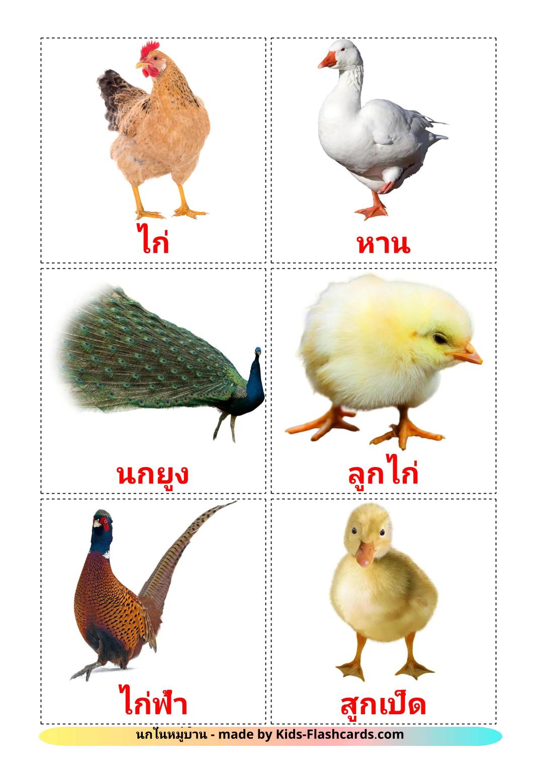 Farm birds - 12 Free Printable thai Flashcards 