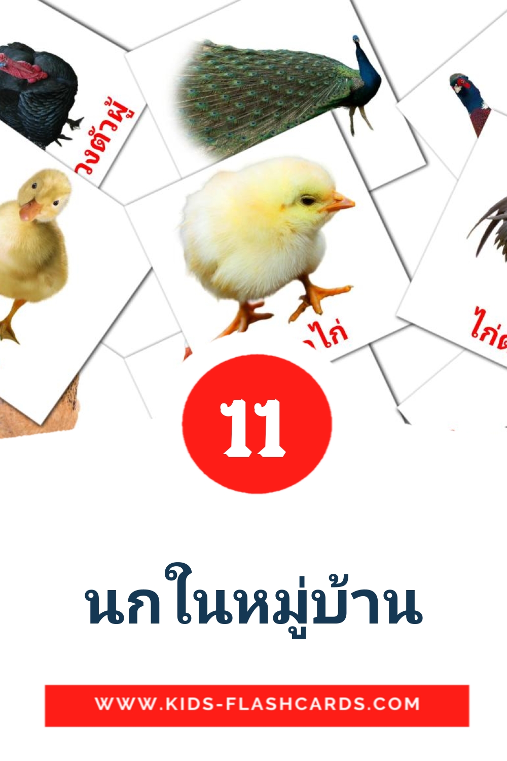 นกในหมู่บ้าน на тайском для Детского Сада (11 карточек)