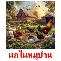 นกในหมู่บ้าน picture flashcards