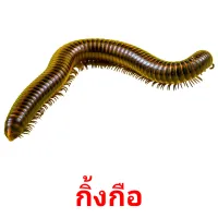 กิ้งกือ карточки энциклопедических знаний