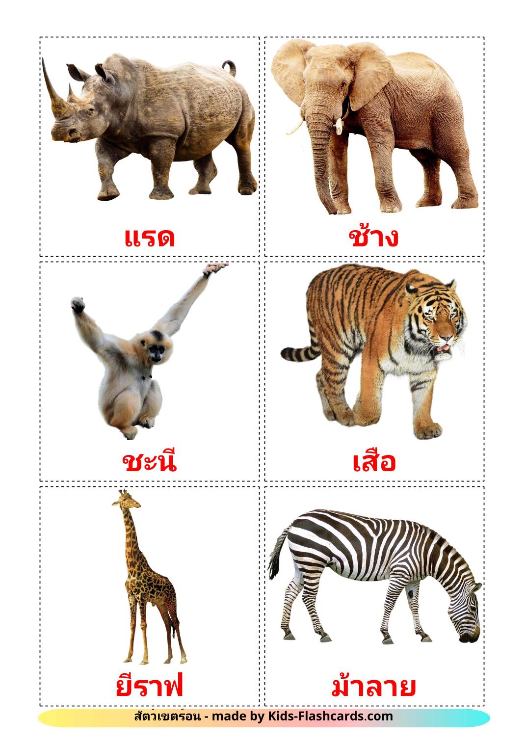 Животные африки - 21 Карточка Домана на тайском