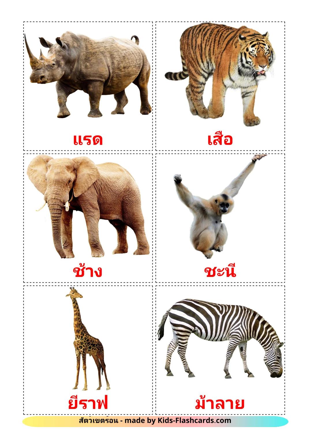 Jungle animals - 22 Free Printable thai Flashcards 