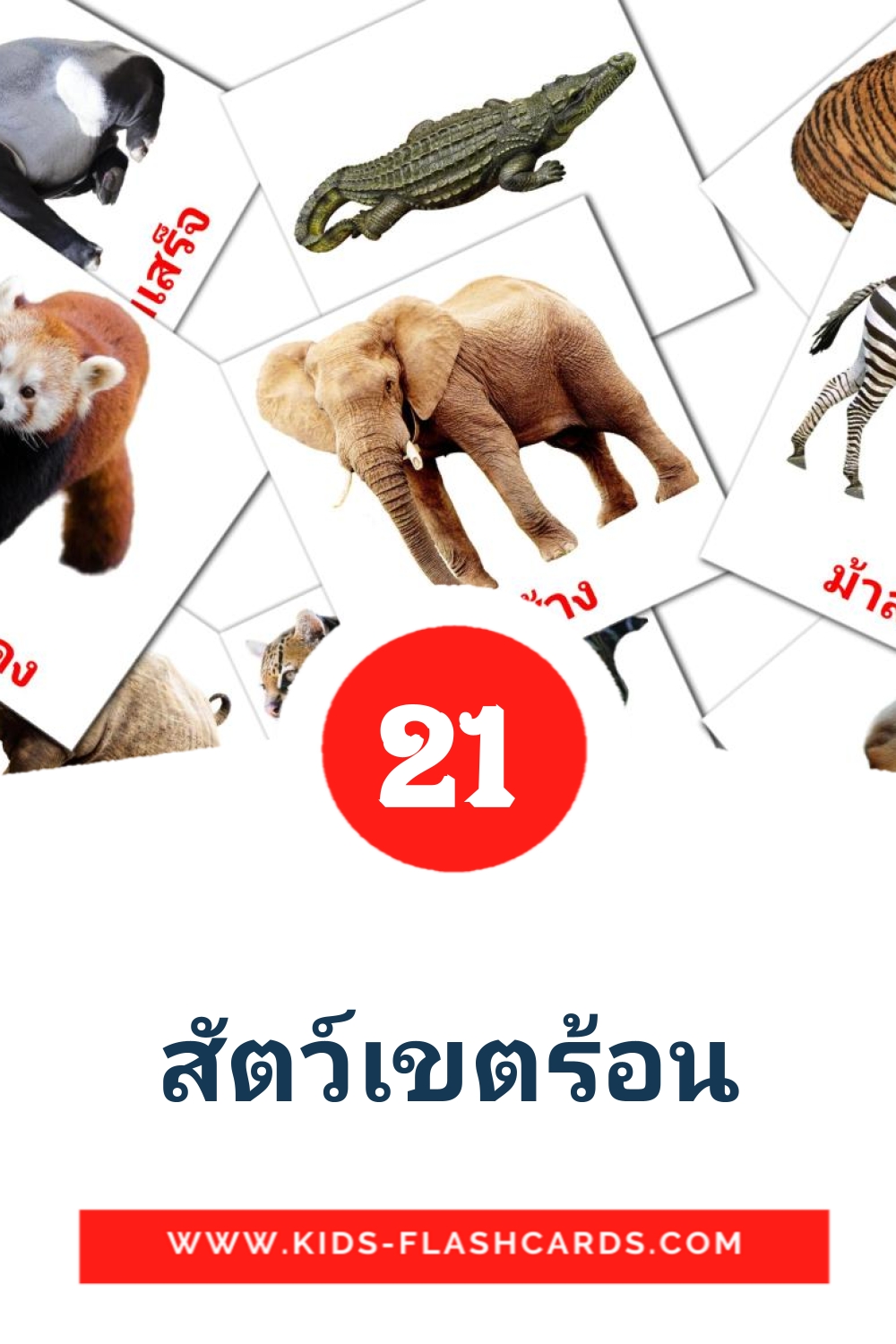 สัตว์เขตร้อน на тайском для Детского Сада (21 карточка)