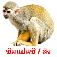 ชิมแปนซี / ลิง card for translate