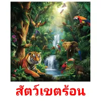 สัตว์เขตร้อน picture flashcards