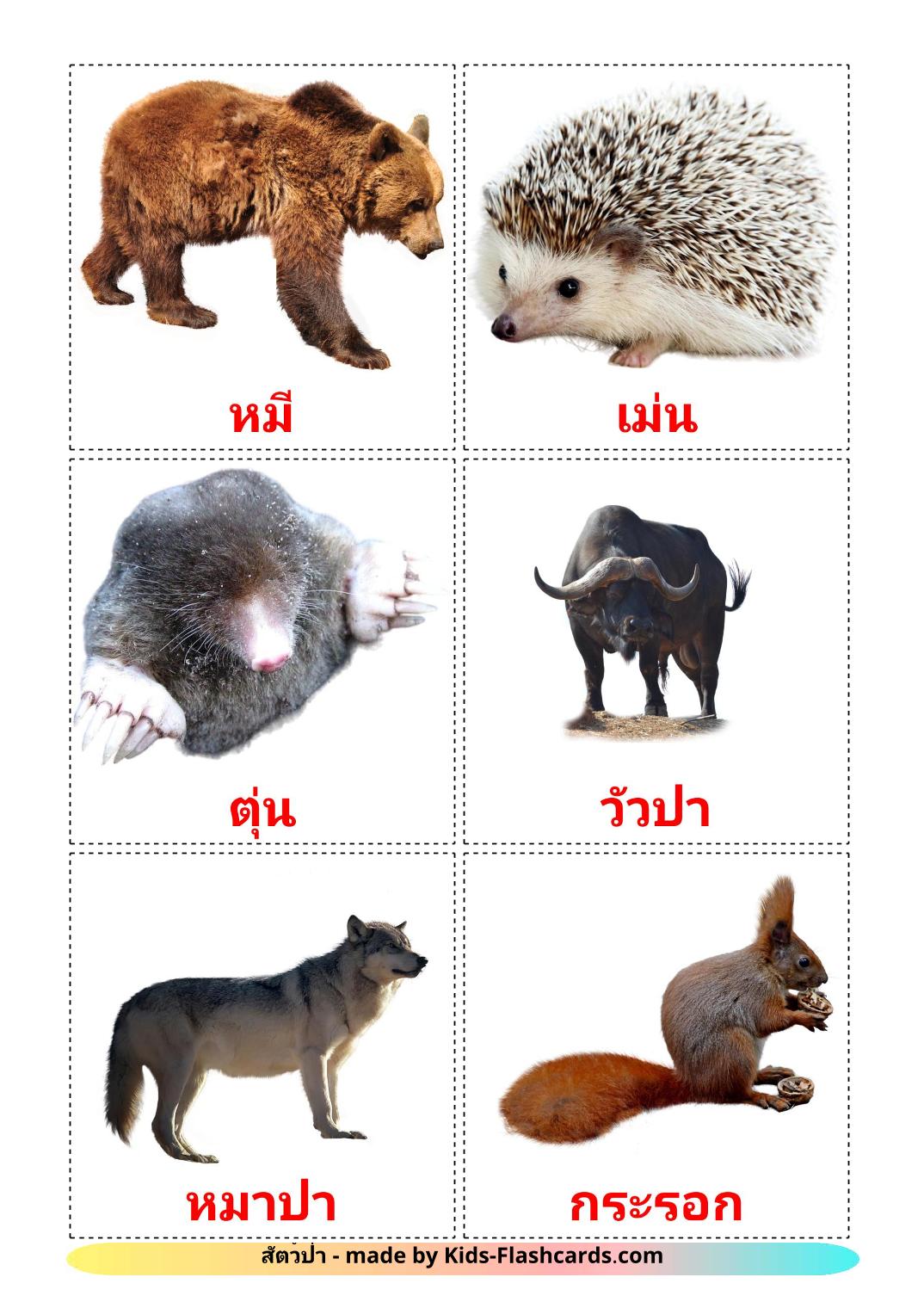Forest animals - 22 Free Printable thai Flashcards 