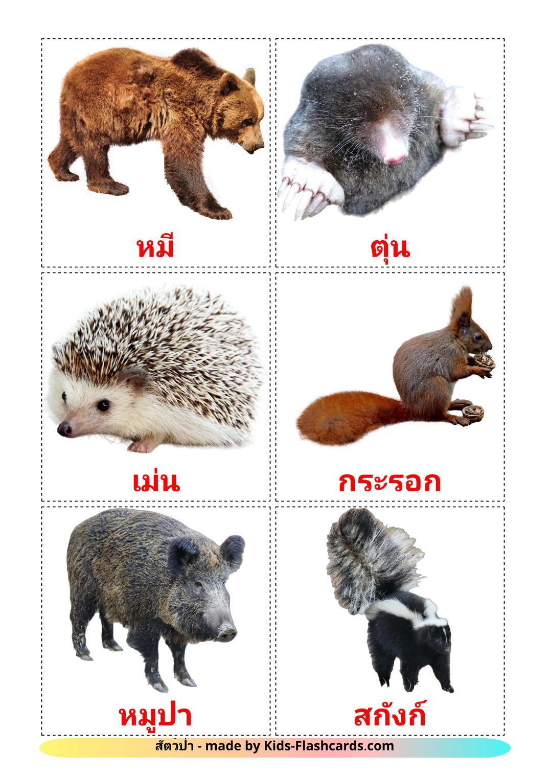 Forest animals - 23 Free Printable thai Flashcards 