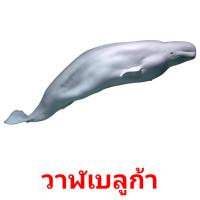วาฬเบลูก้า card for translate