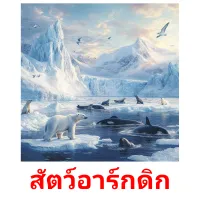 สัตว์อาร์กดิก picture flashcards