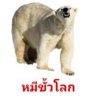 หมีขั้วโลก card for translate