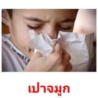 เป่าจมูก picture flashcards