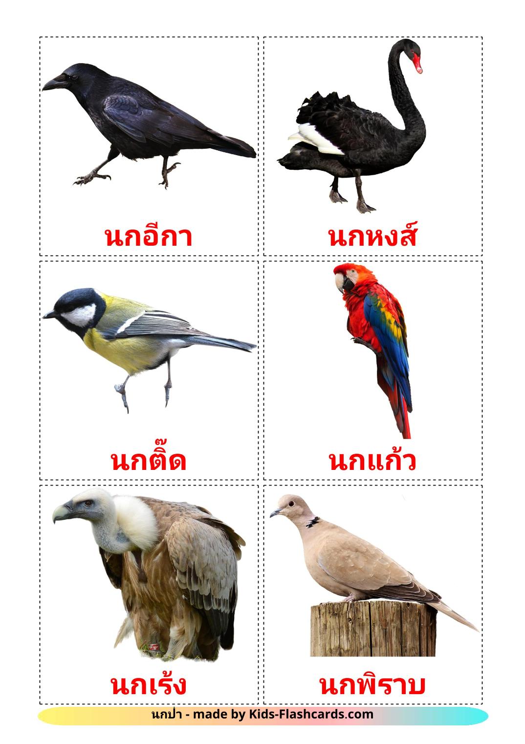 Pájaros salvajes - 18 fichas de tailandés para imprimir gratis 