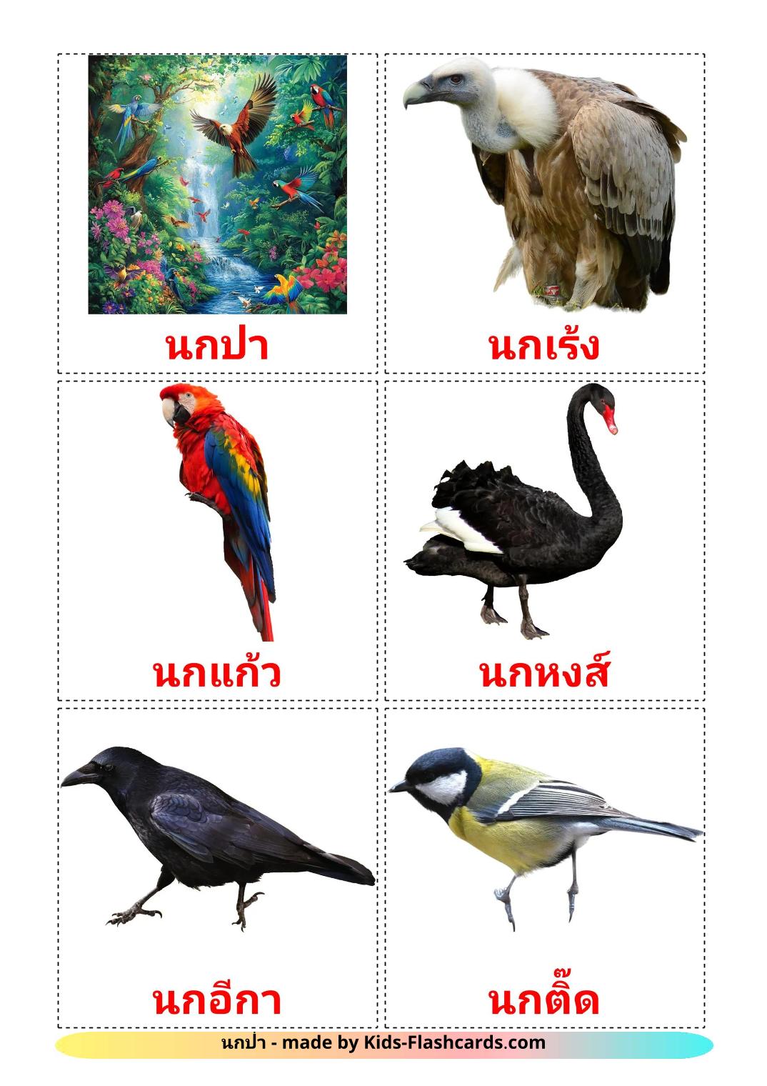 Wild birds - 19 Free Printable thai Flashcards 