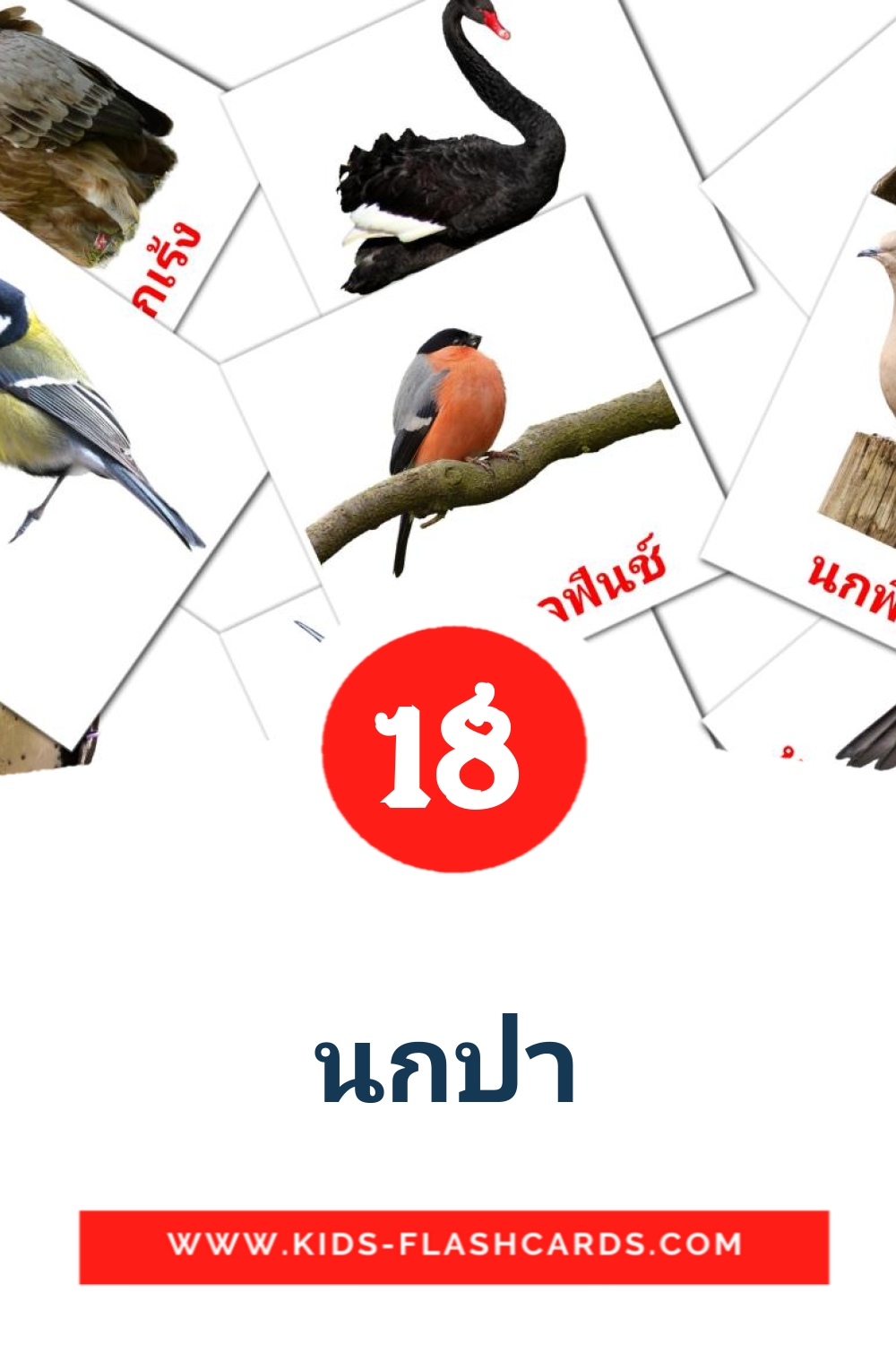 18 cartes illustrées de นกป่า pour la maternelle en thaïlandais