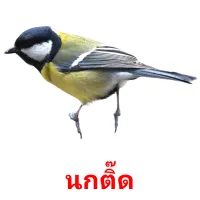 นกติ๊ด picture flashcards