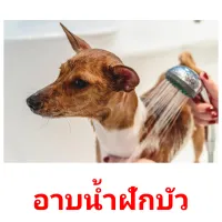 อาบน้ำฝักบัว picture flashcards