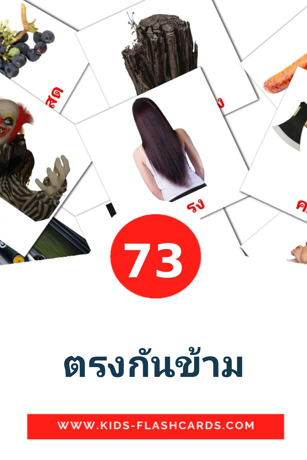 73 ตรงกันข้าม Picture Cards for Kindergarden in thai