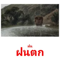 ฝนตก picture flashcards