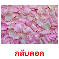 กลีบดอก picture flashcards