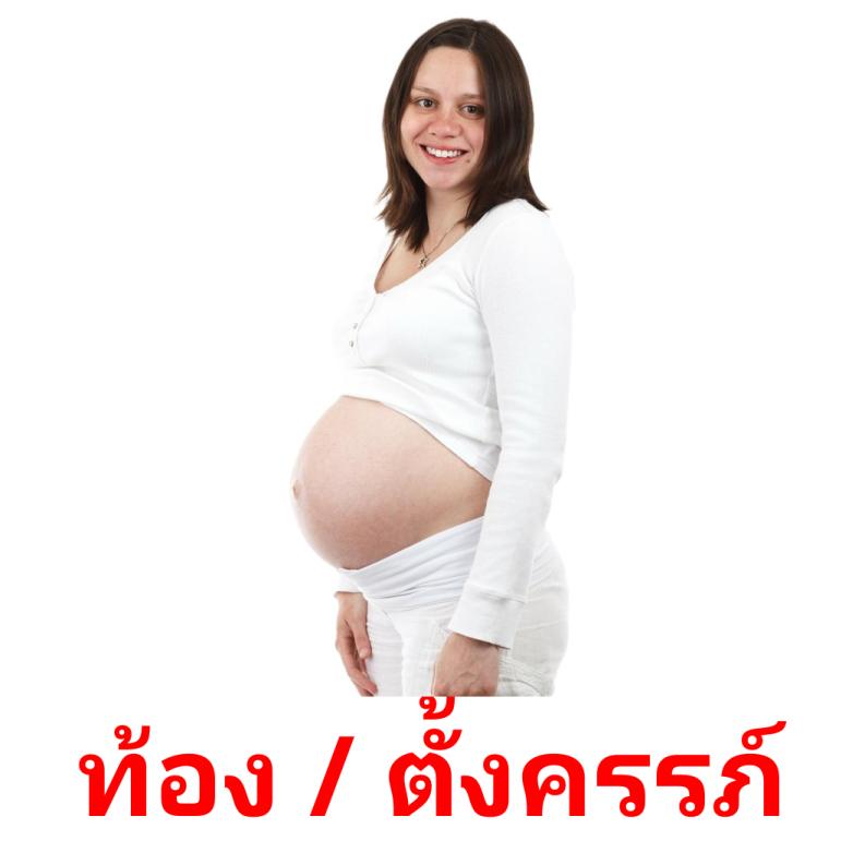 ท้อง / ตั้งครรภ์ Bildkarteikarten