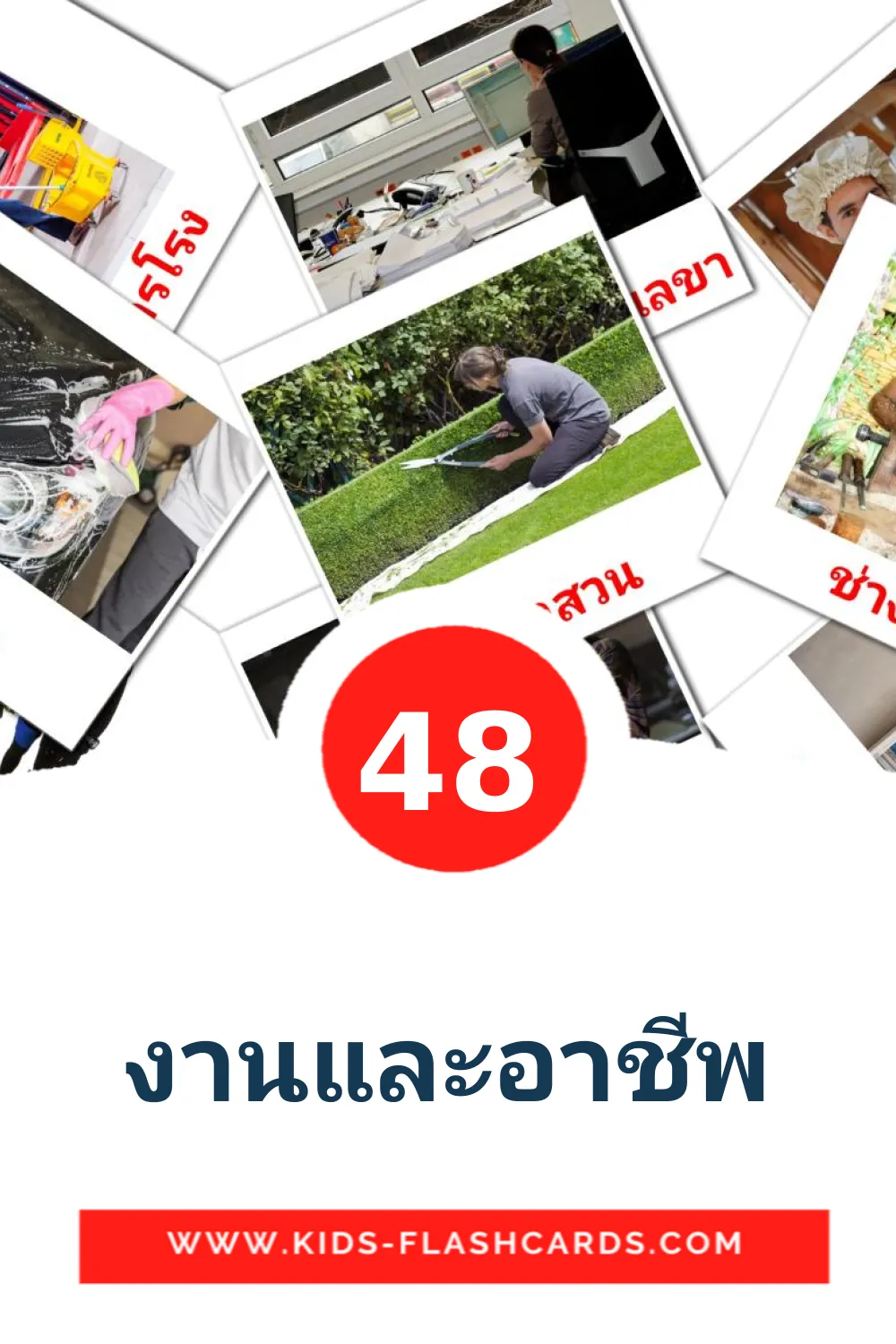 48 งานและอาชีพ Picture Cards for Kindergarden in thai