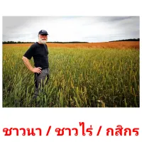 ชาวนา / ชาวไร่ / กสิกร picture flashcards