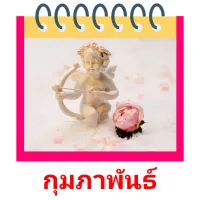 กุมภาพันธ์ picture flashcards