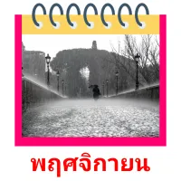 พฤศจิกายน picture flashcards