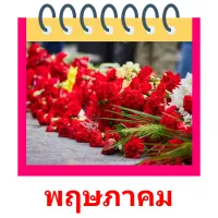 พฤษภาคม picture flashcards