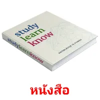 หนังสือ picture flashcards