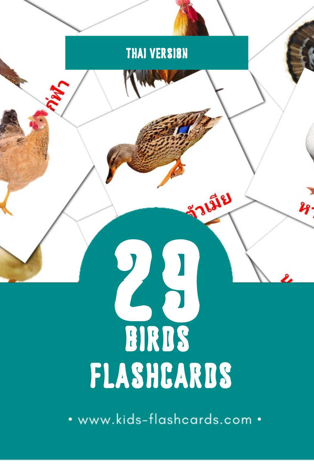 Visual นก Flashcards for Toddlers (29 cards in Thai)