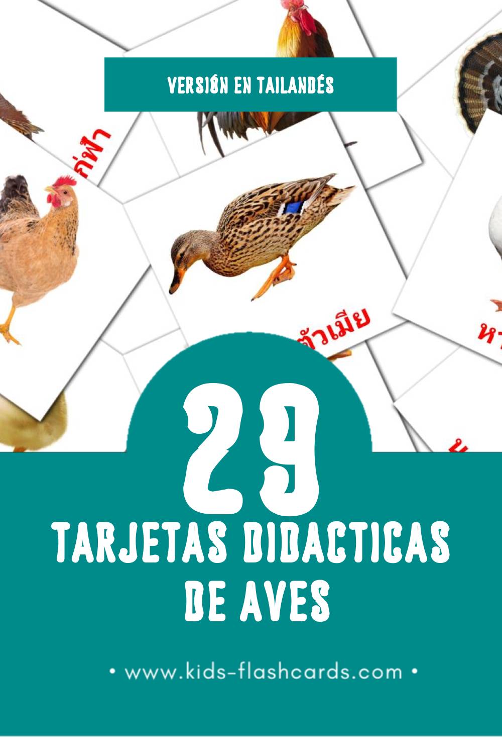 Tarjetas visuales de นก para niños pequeños (29 tarjetas en Tailandés)