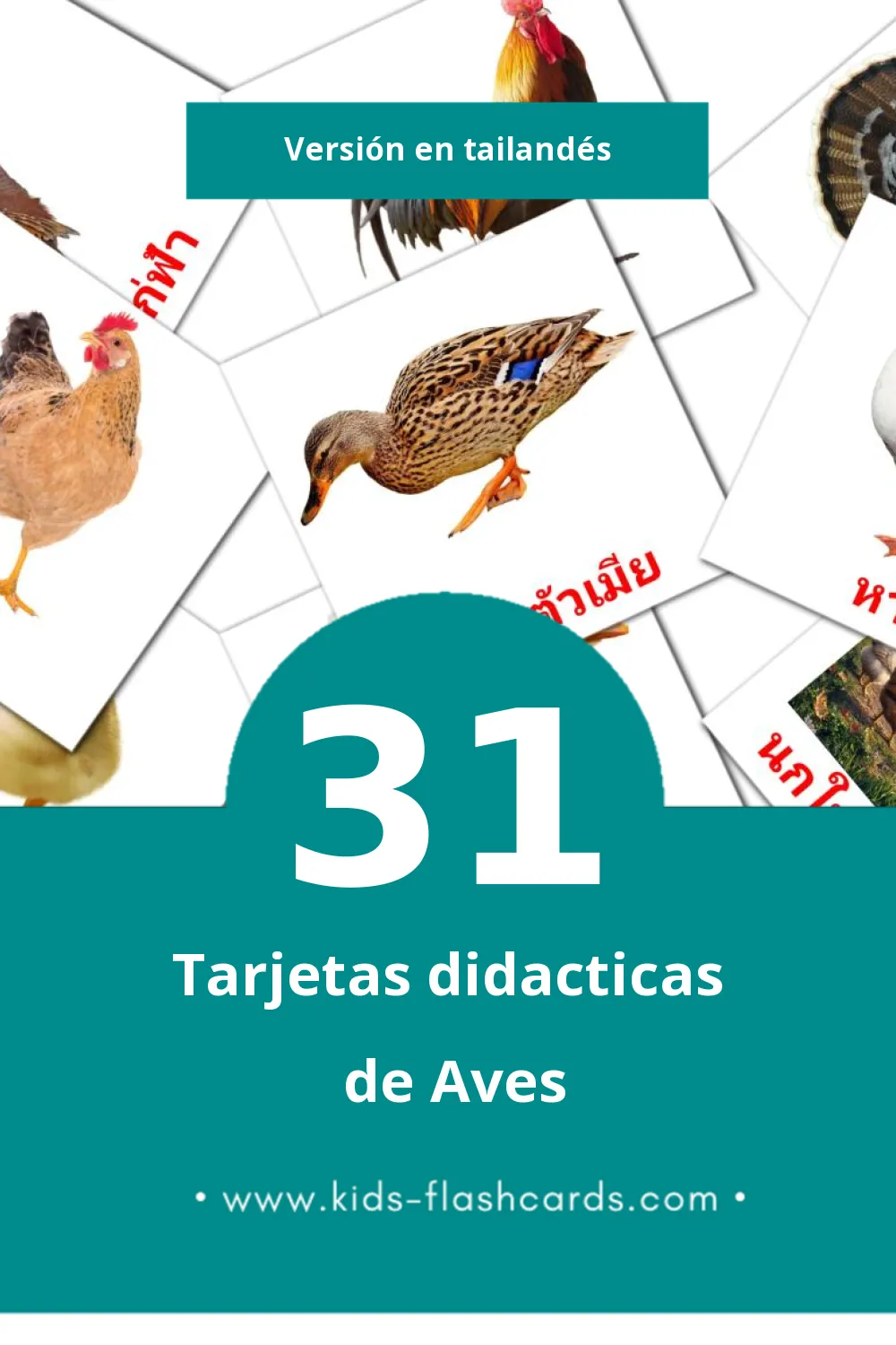 Tarjetas visuales de นก para niños pequeños (31 tarjetas en Tailandés)