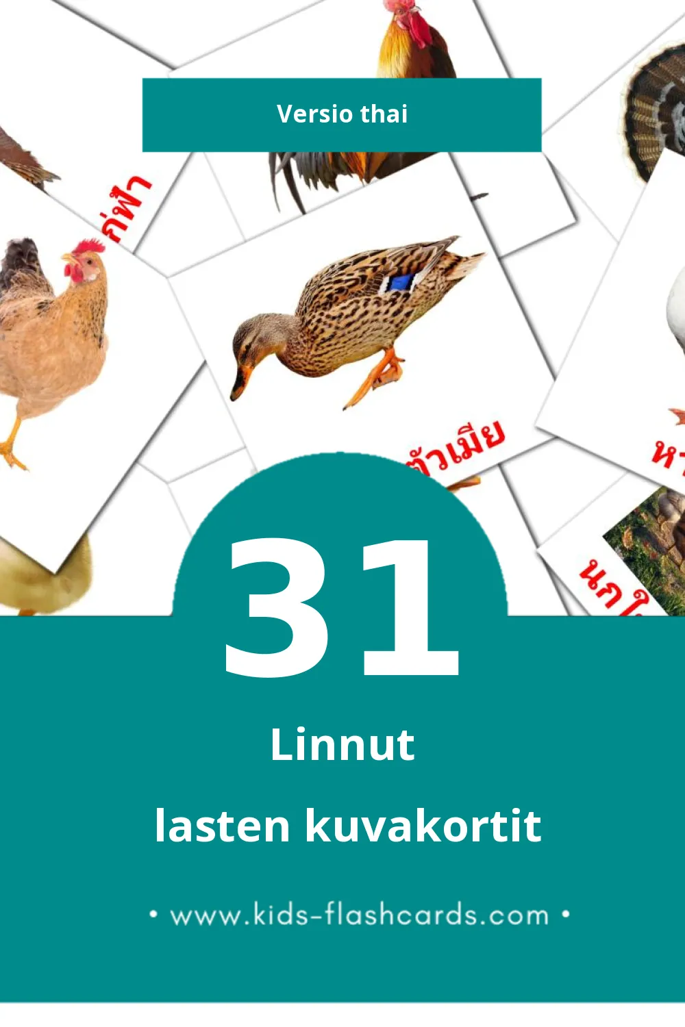 นก lasten kuvakortit pikkulapsille (31 korttia Thaiksi)