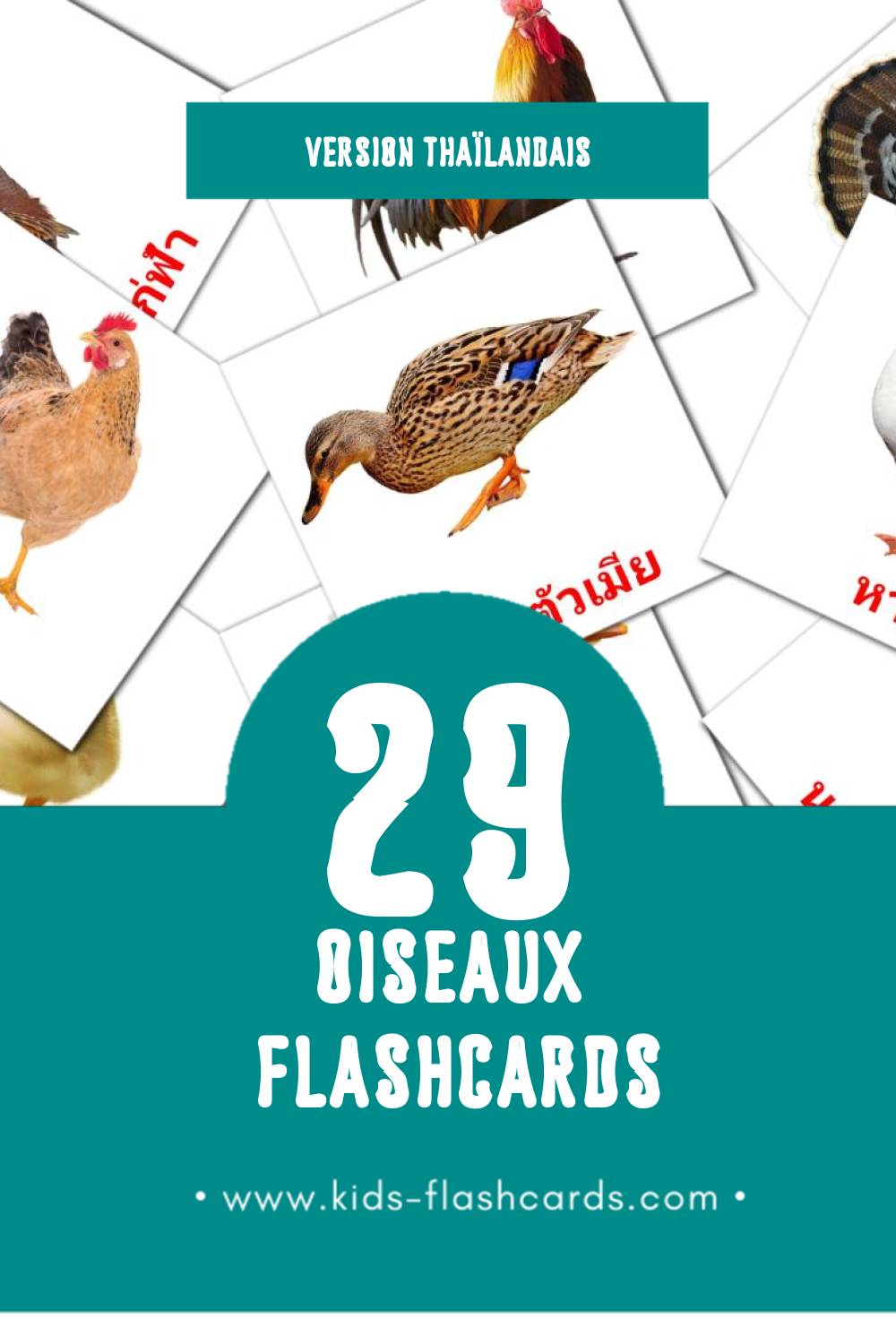 Flashcards Visual นก pour les tout-petits (29 cartes en Thaïlandais)