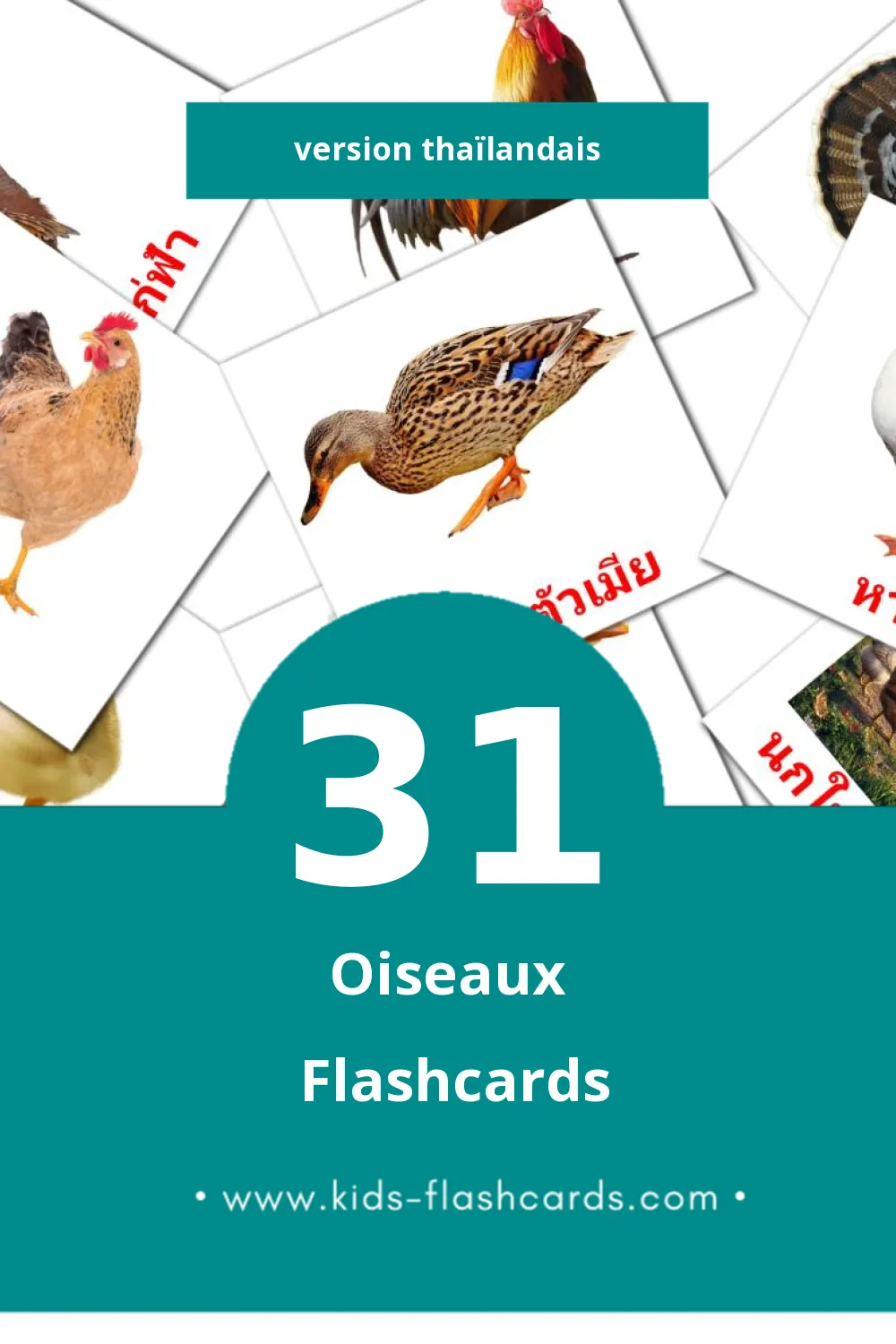 Flashcards Visual นก pour les tout-petits (31 cartes en Thaïlandais)