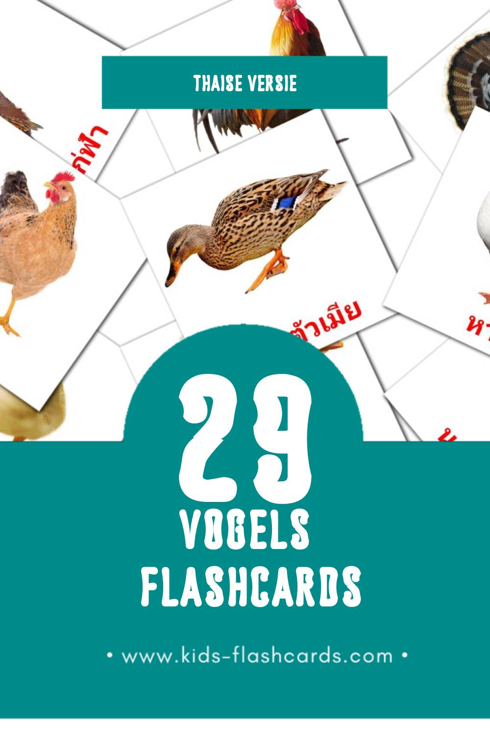 Visuele นก Flashcards voor Kleuters (29 kaarten in het Thais)