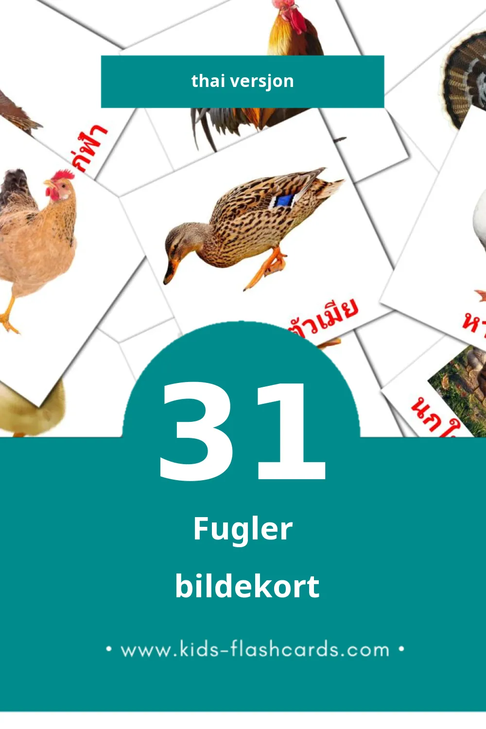 Visuelle นก bildekort for småbarn (31 kort på Thai)