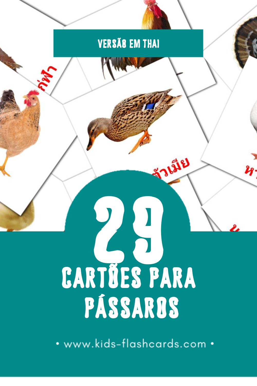 Flashcards de นก Visuais para Toddlers (29 cartões em Thai)