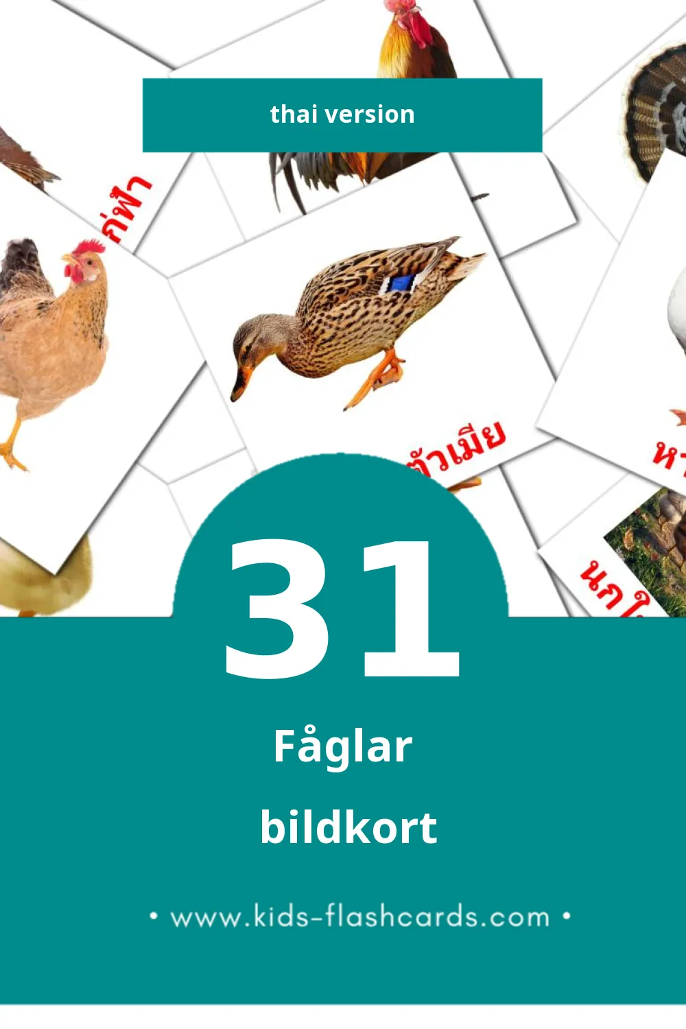 Visuella นก för småbarn (31 bildkort för barn på Thai)