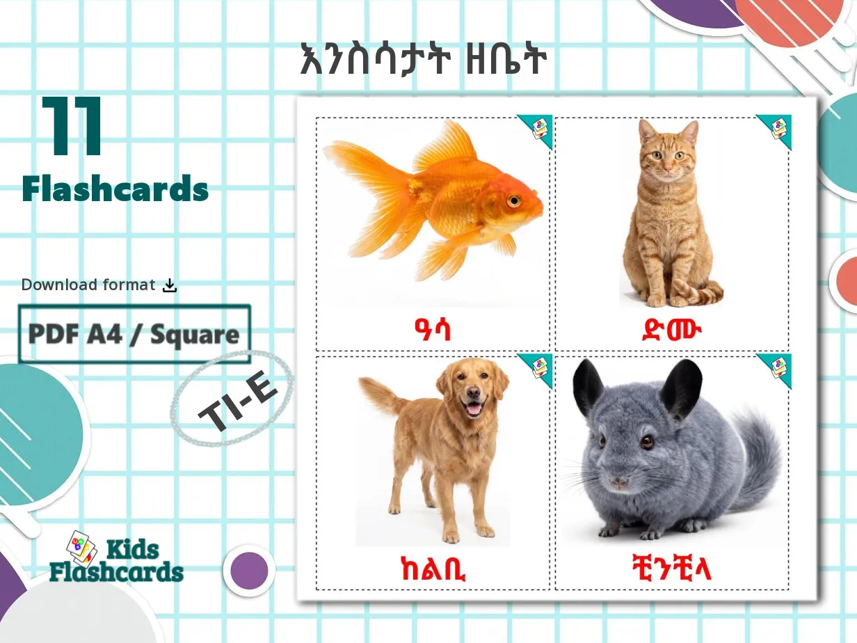 11 Printable Domestic animals Flashcards in Tigrigna(Eritrea) (Free PDF)