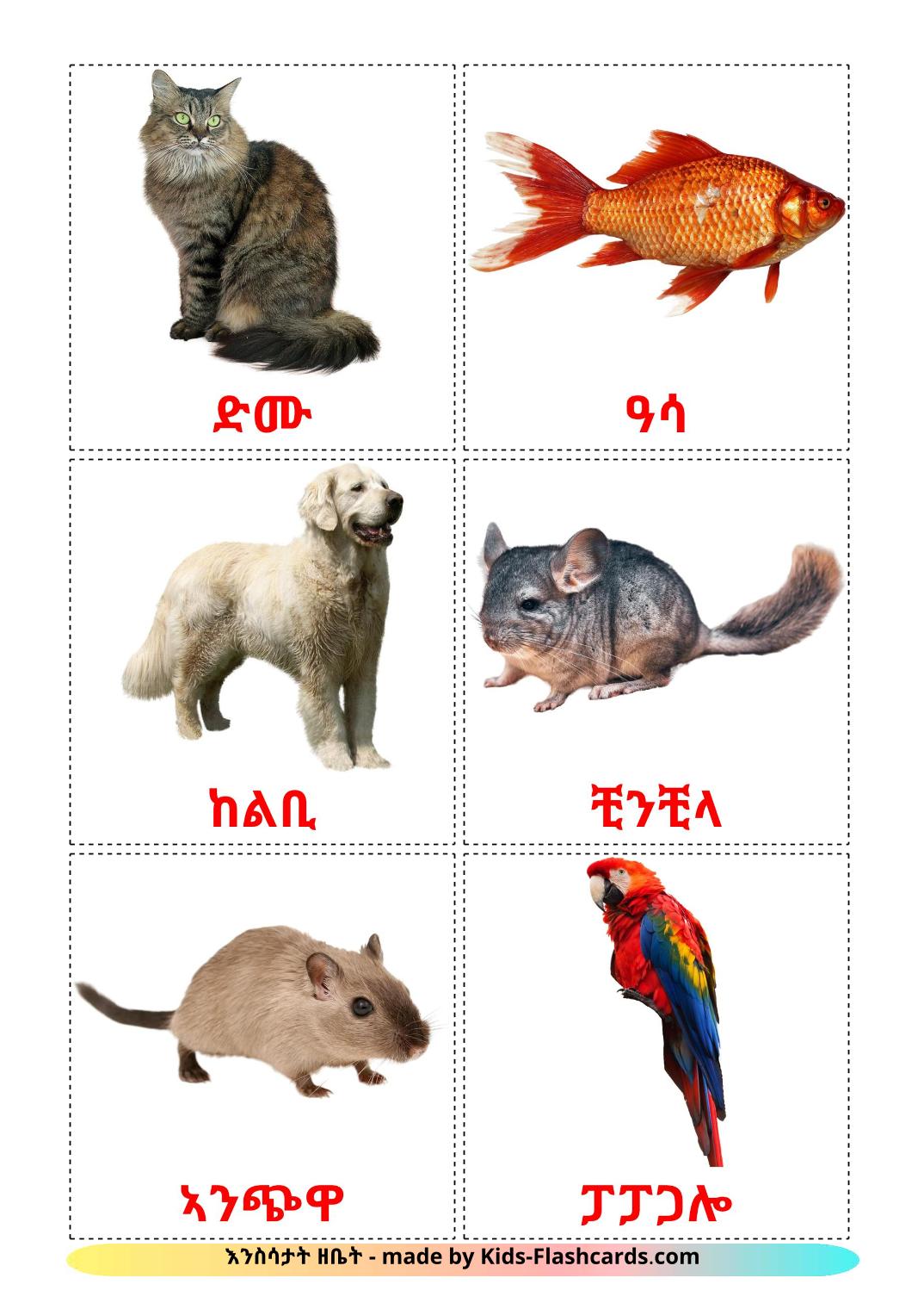Animali Domestici - 10 flashcards tigrigna(Eritrea) stampabili gratuitamente