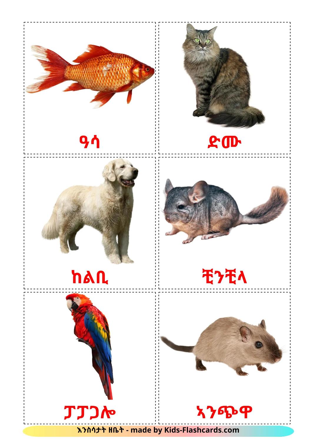 Animais Domésticos  - 11 Flashcards tigrigna(eritreia)es gratuitos para impressão