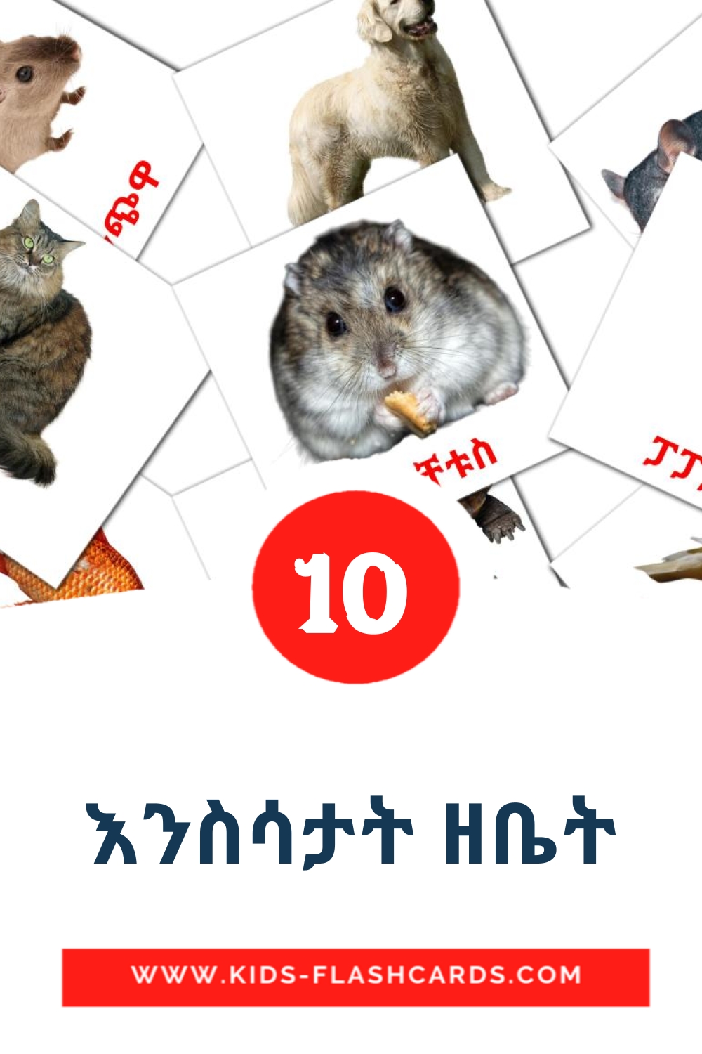 10 Cartões com Imagens de እንስሳታት ዘቤት para Jardim de Infância em tigrigna(eritreia)