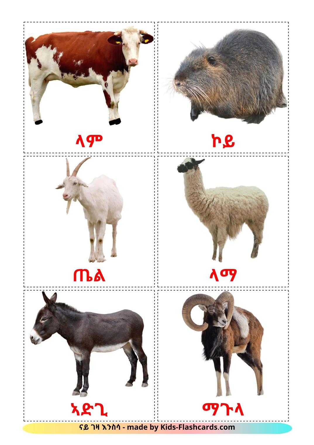 Animais da Fazenda - 16 Flashcards tigrigna(eritreia)es gratuitos para impressão