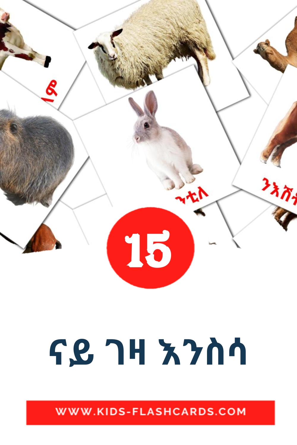 15 ናይ ገዛ እንስሳ Bildkarten für den Kindergarten auf Tigrigna(Eritrea)