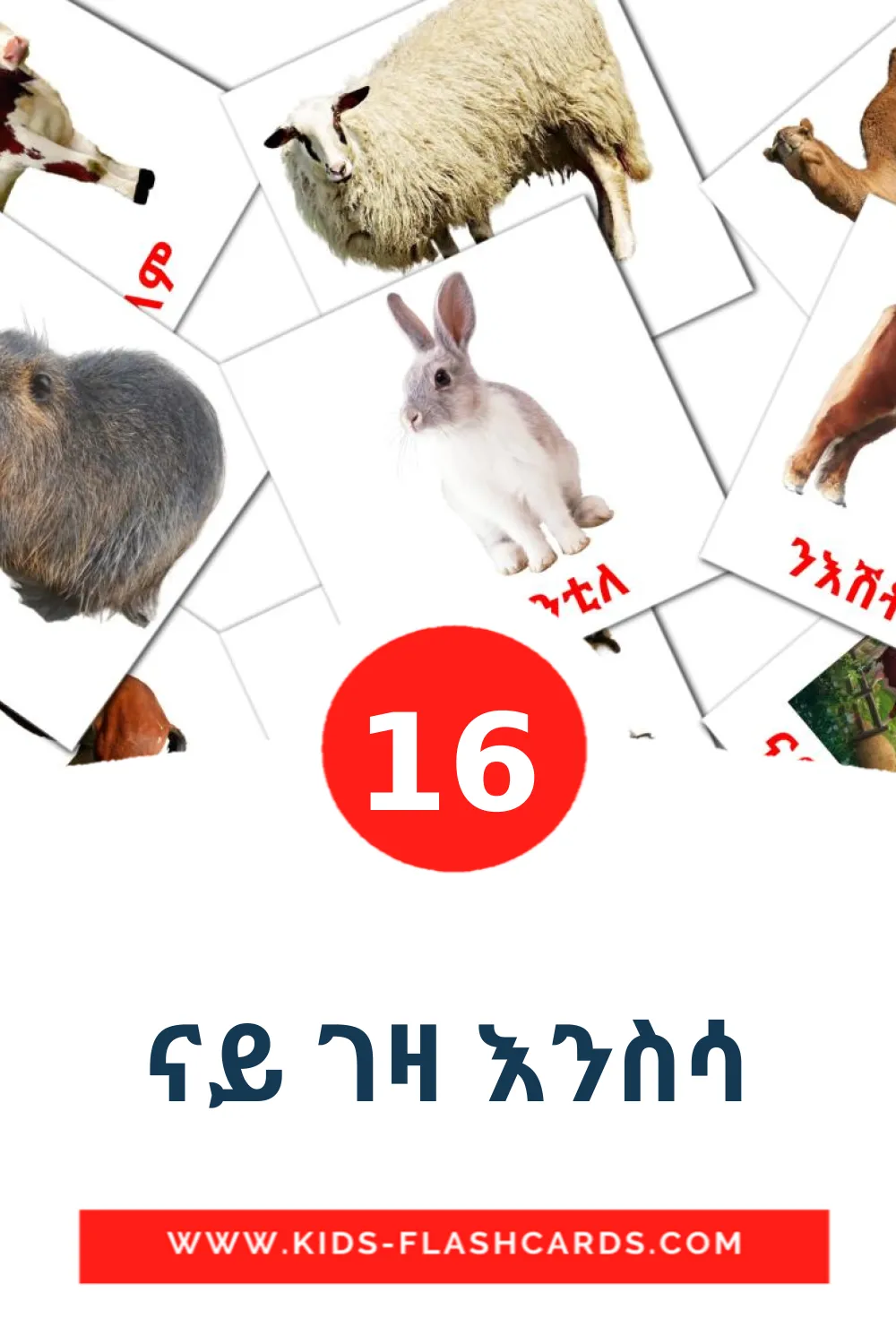 16 Cartões com Imagens de ናይ ገዛ እንስሳ para Jardim de Infância em tigrigna(eritreia)