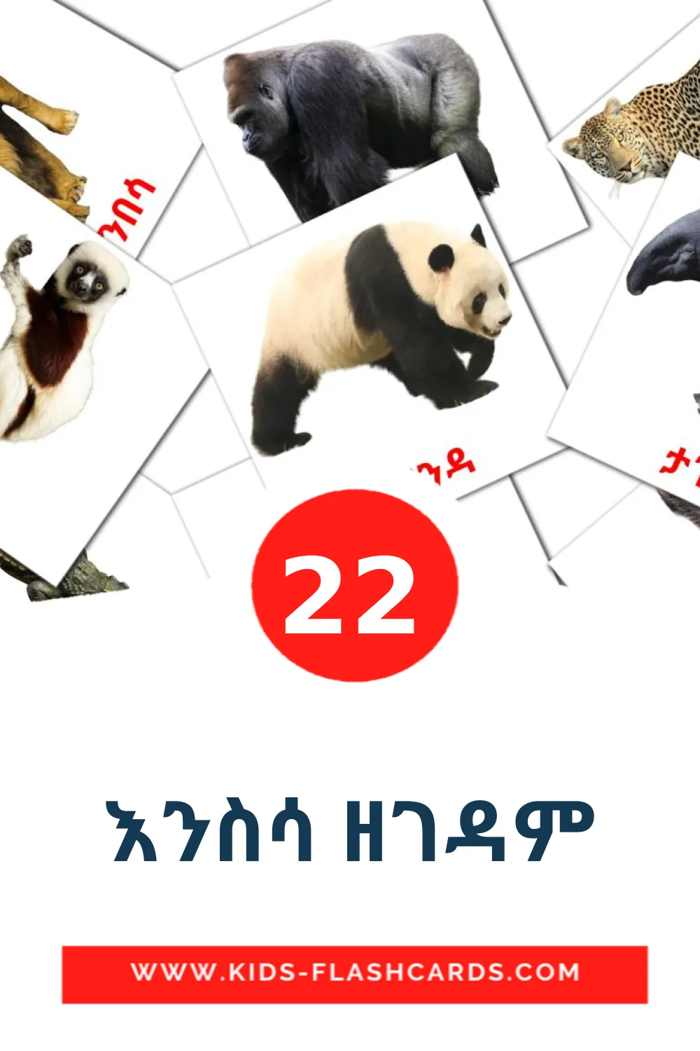 22 billedkort for børn med እንስሳ ዘገዳም til børnehaveklassen på tigrigna(eritrea)