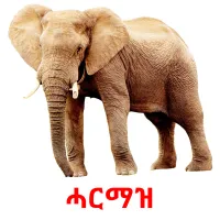 ሓርማዝ billedkort for børn med billeder