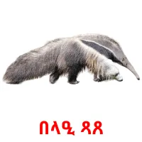 በላዒ ጻጸ billedkort for børn med billeder